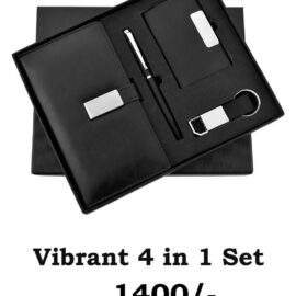 Vibrant 4 in 1 Set